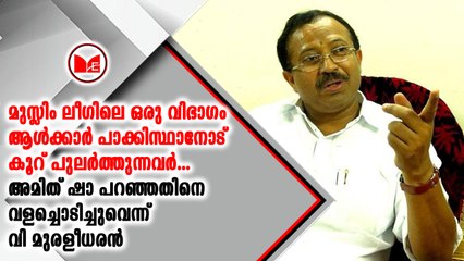 അമിത്ഷായുടെ പാകിസ്ഥാൻ പ്രസ്താവനയെ അനുകൂലിച്ച് വി മുരളീധരൻ എം പി