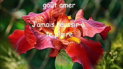 Le droit de t'aimer 2019 (changer d'identité)