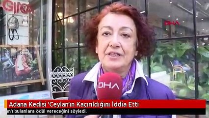 Adana Kedisi 'Ceylan'ın Kaçırıldığını İddia Etti