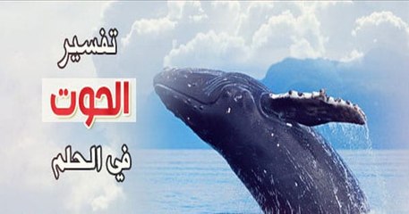 ما تفسير رؤية الحوت في المنام؟
