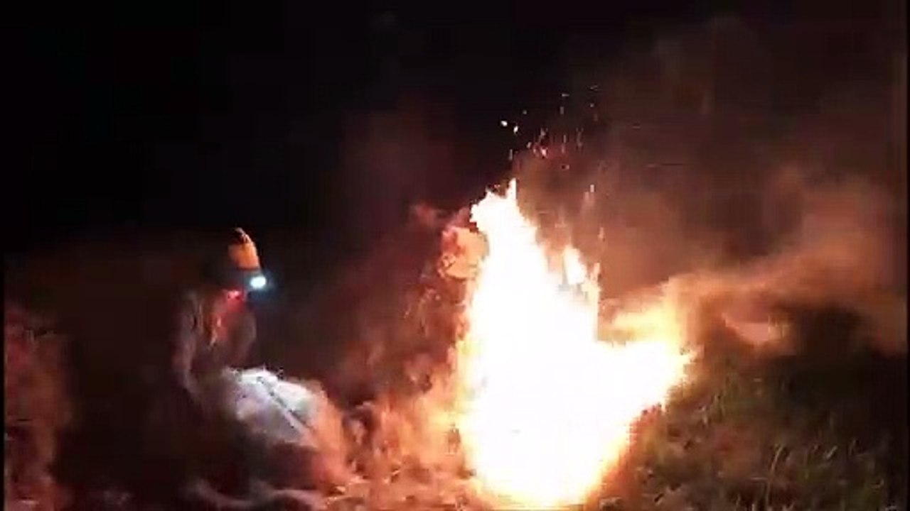 Gel: au coeur des vignes à Pupillin avec les viticulteurs