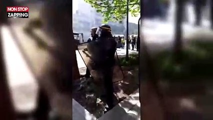 Gilets jaunes : l'échange surréaliste entre Maxime Nicolle et un CRS à Toulouse (vidéo)