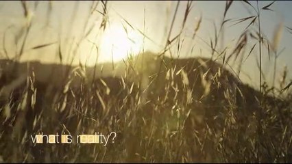 What is Reality?[Defined]