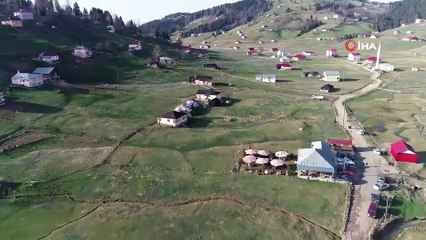 Mavi Yıldız Çiçekleri'nin Açtığını Duyanlar Yaylaya Akın Etti