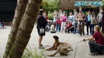 Cheetah Run with Ruuxa @ San Diego Zoo Safari Park - YouTube