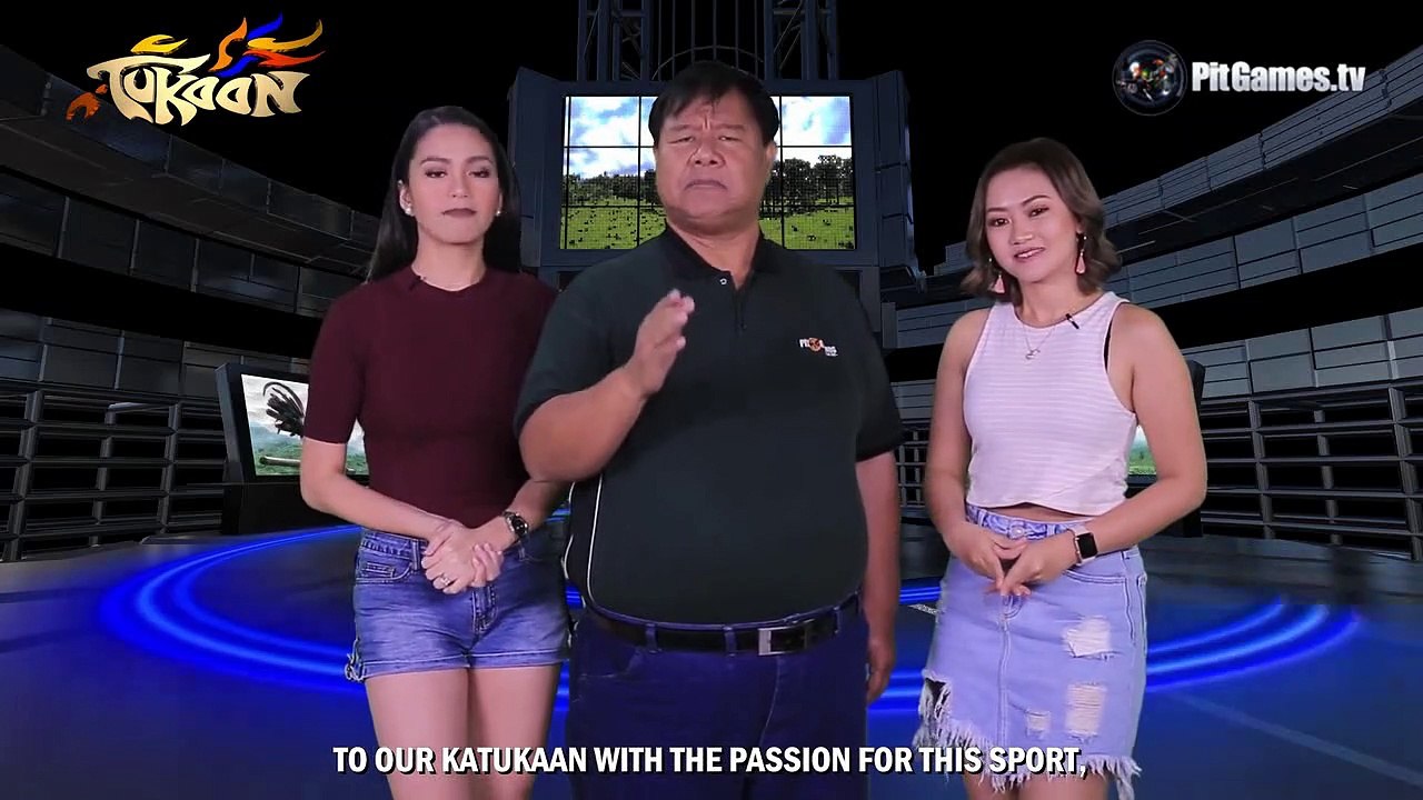 Breeder of the Week - Andrew Chua - Gintong Manok Gamefarm