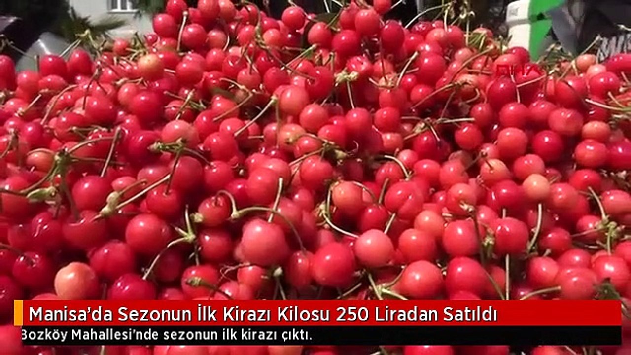 Manisa'da Sezonun İlk Kirazı Kilosu 250 Liradan Satıldı