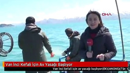 Van İnci Kefali İçin Av Yasağı Başlıyor