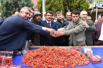 Manisa'da Sezonun İlk Kirazı Kilosu 250 Liradan Satıldı