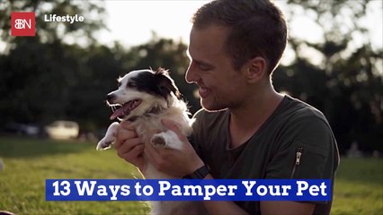Check Out These Ideas To Pamper Your Special Pet