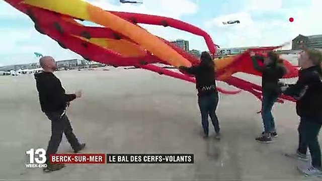 Berck-sur-Mer : le bal des cerfs-volants