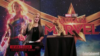 Captain Marvel's Cat 'Goose'- A Purrfect Interview - Entertainment Weekly