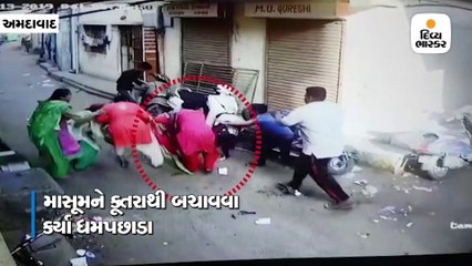 જમાલપુરમાં બે વર્ષના બાળકને કૂતરાએ બચકા ભર્યા, હોસ્પિટલમાં ખસેડવામાં આવ્યો