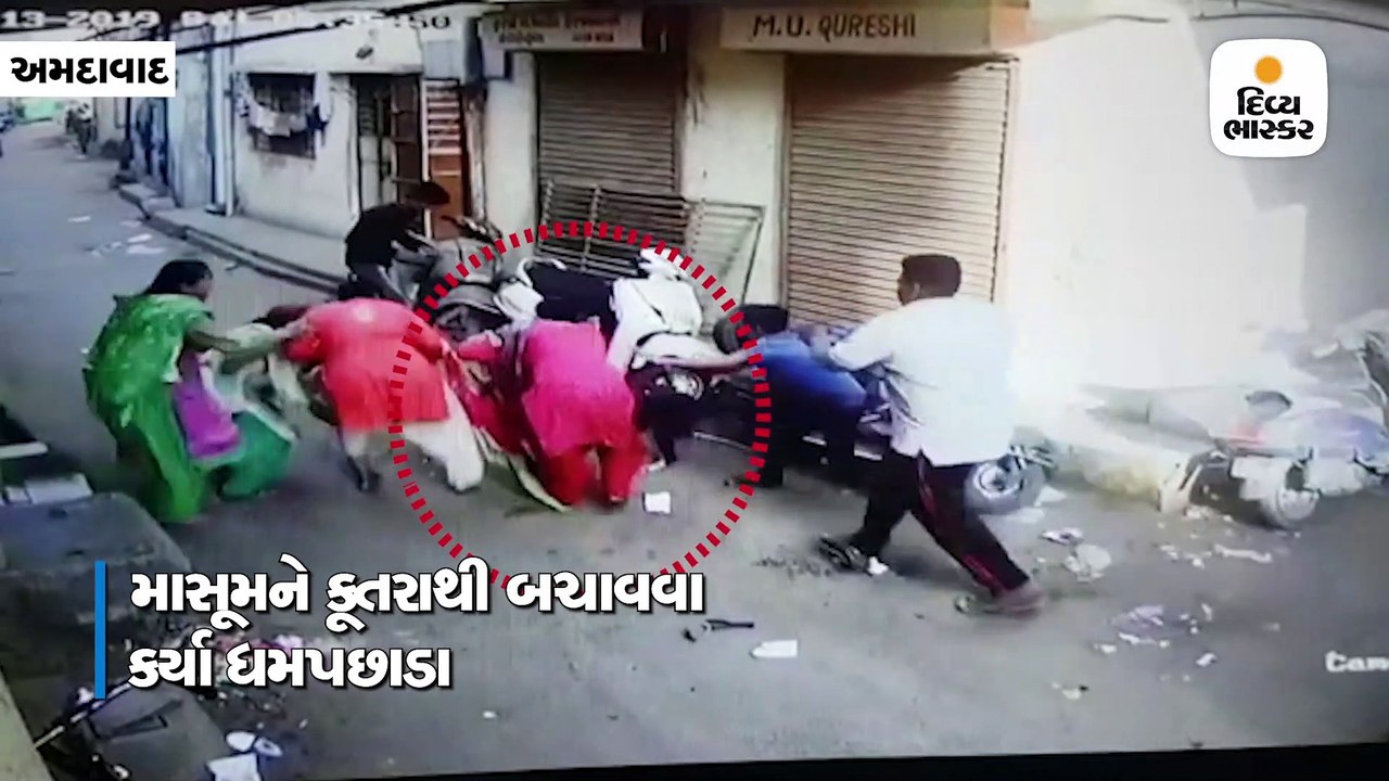 જમાલપુરમાં બે વર્ષના બાળકને કૂતરાએ બચકા ભર્યા,...