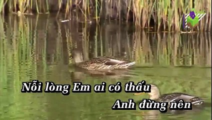 Chữ Hiếu Chữ Tình (Karaoke) - Phạm Thanh Thảo
