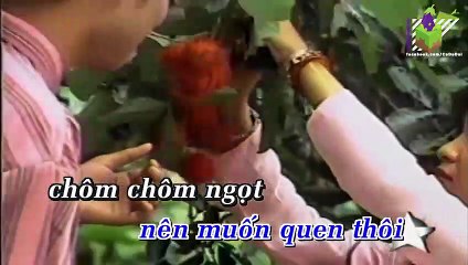 Chôm Chôm Lý Qua Phà (Karaoke) - Ngọc Sơn