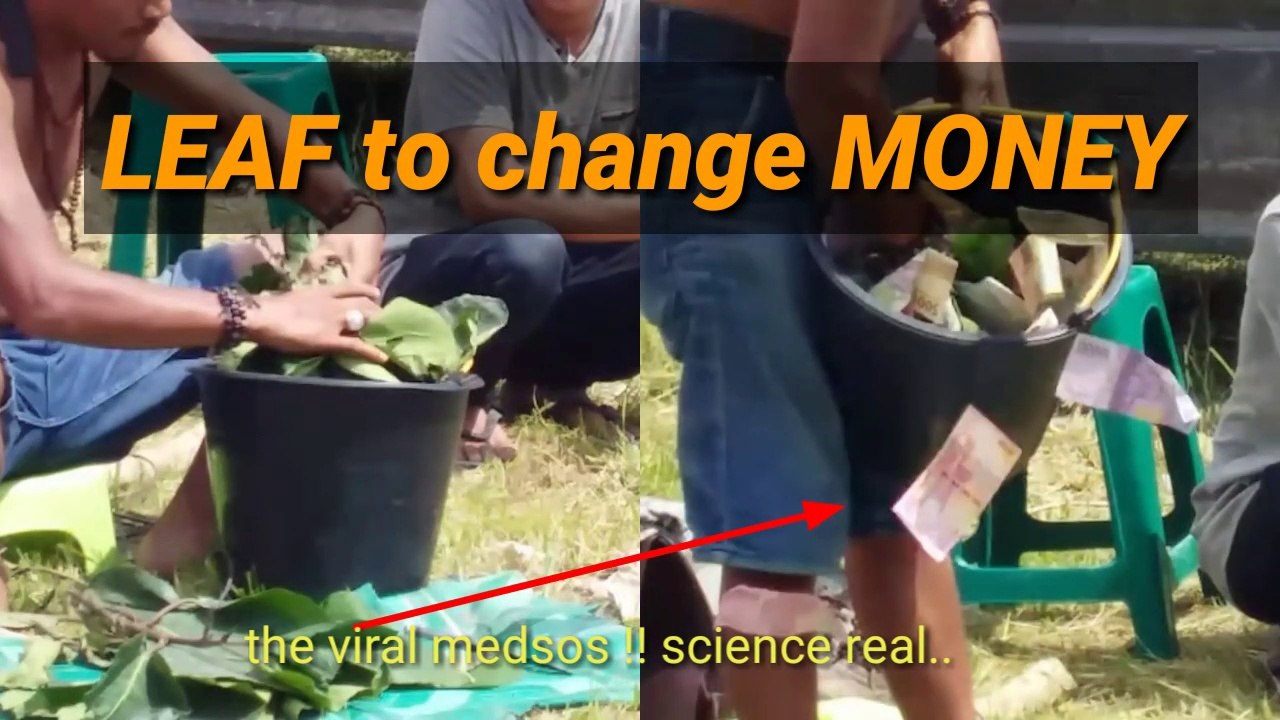 viral video...!! Merubah daun jadi uang || Jika tak direkam mungkin tidak percaya..!!