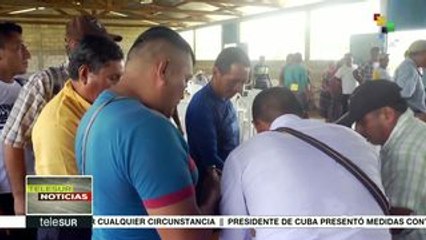 Guatemala: Demandan cultivo de palma en Ixcán