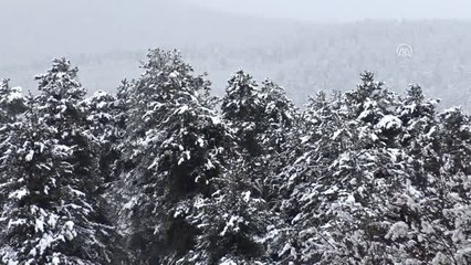 Baharda Gelen Kar Besicileri Zora Soktu