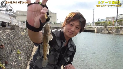 誰でも簡単！スプーンでマハゼを爆釣する方法！　超面白い！　マハゼ　ルアー釣り　方法　爆釣法