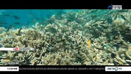 Pulau Meti, Surga Tersembunyi di Halmahera