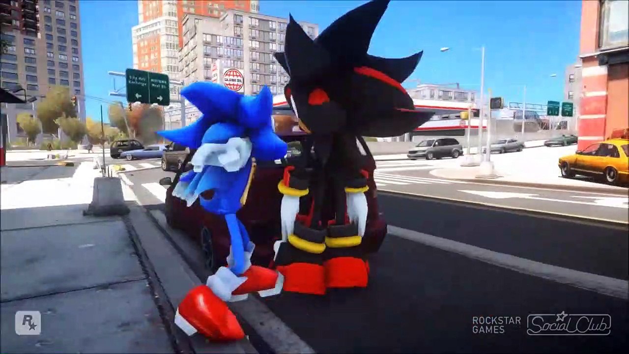 SONIC VS SHADOW THE HEDGEHOG