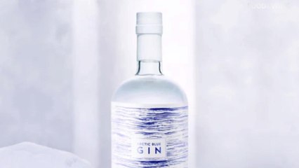 Free Gin For Life Is Yours... If You Travel to the North Pole