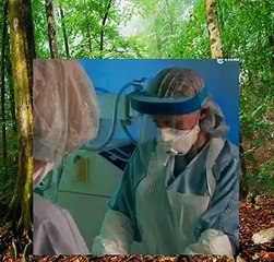 Forensic Files - 10x20 - Four On The Floor