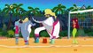 Zig & Sharko - Jobs -Everyday Life Full Compilation HD cartoon for kids  #3