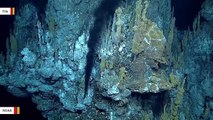 Scientists Have Found Oil-Eating Bacteria In World's Deepest Ocean Trench