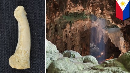 New species of human found in Philippine cave