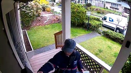 Mailman Runs as Dog Bursts Through Window