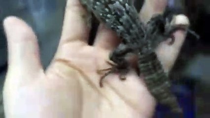 권선구출장안마 -후불100%ョØ7Ød7333w9649｛카톡LGT010｝권선구전지역출장마사지샵'예약'권선구출장qc안마es권선구출장안마 cos여3권선구출장마사지황형ュユョ권선구콜걸