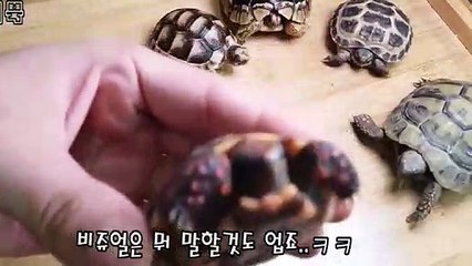 부산출장안마 -후불100%ョØ1Øw2997d5327｛카톡DDR88}부산전지역출장마사지샵'예약'부산출장qc안마es부산출장안마 cos여3부산출장마사지황형≫√▼부산콜걸