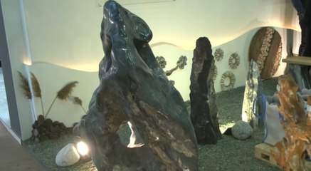 Fabrika Kenarında Atıklar İçin Kuruldu, Dev İşletmeye Dönüştü