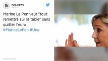 Européennes. Marine Le Pen veut « tout remettre sur la table » sans quitter l'euro