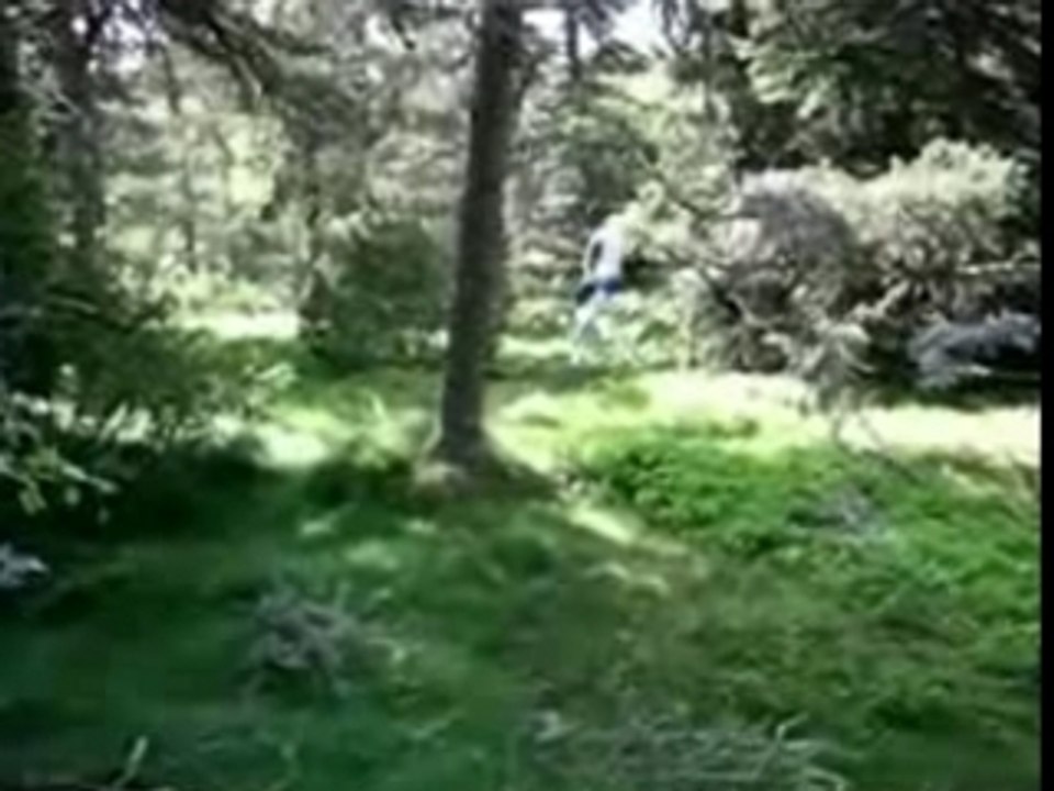 Raid INSA 2008