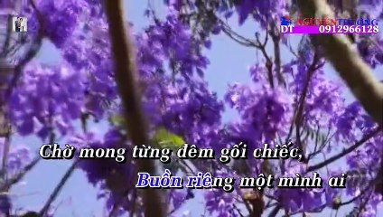 Karaoke HD Nỗi Buồn Hoa Phượng Hồ Quang 8