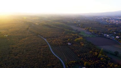E' pugliese la prima pilota d'aereo non vedente