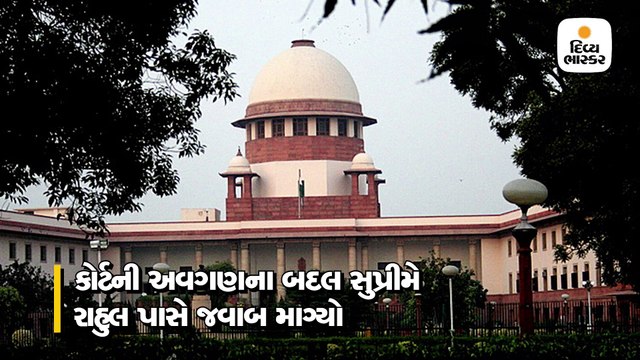 'ચોકીદાર ચોર છે' પર ફસાયા રાહુલ ગાંધી, SCએ 7 દિવસમાં જવાબ આપવા કહ્યું