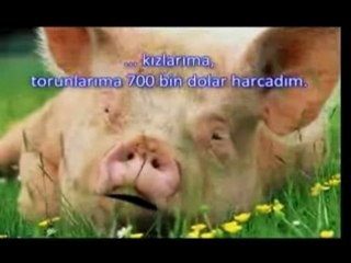 finansal durum analizi