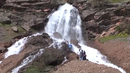 Çukurca'da Mesire Alanları Şenlendi