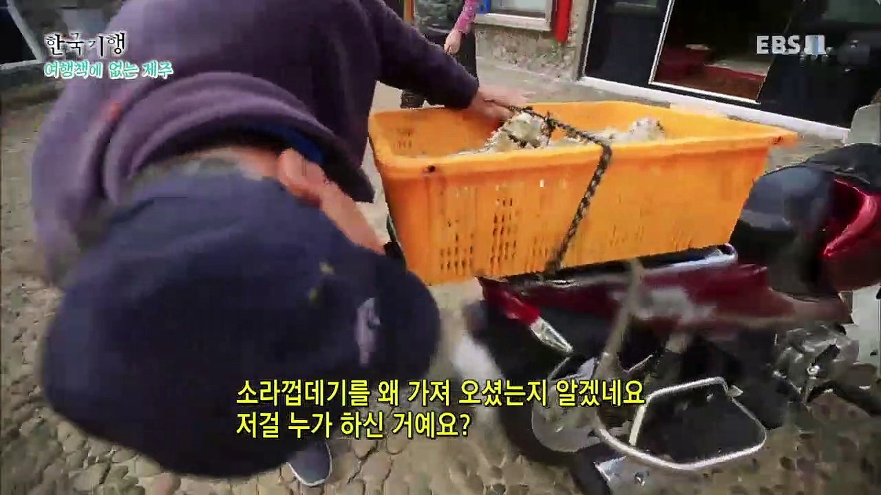 한국기행 - Korea travel_여행책에 없는 제주 3부- 그 섬에 청보리 일렁이...