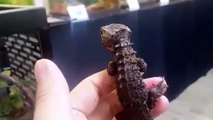 의정부출장안마 -후불100%ョØ7Øv7575fØØ54｛카톡KC789}의정부전지역출장마사지샵'예약'의정부출장qc안마es의정부출장안마 cos여3의정부출장마사지황형♪∀의정부콜걸