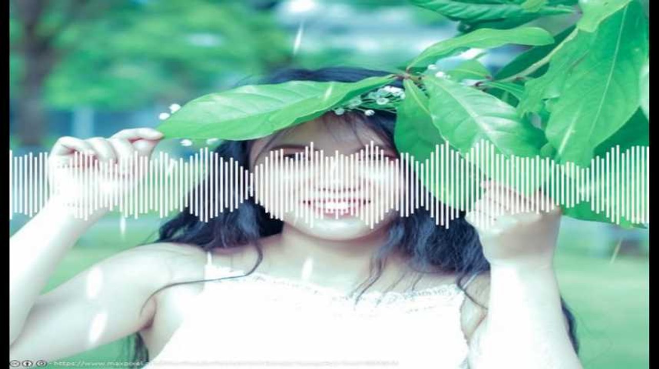 Minute Papillon! Flash info midi - 15 avril 2019