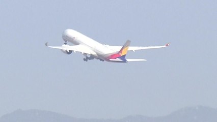 무리한 영역 확장 ...31년 만에 '색동 날개' 접는다 / YTN