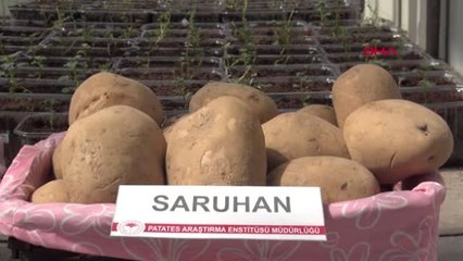 Niğde'de 2 Milli Patates Çeşidi Daha Tescillendi