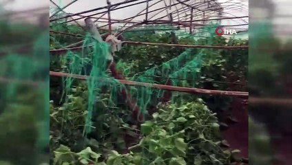 Antalya’da seraları hortum vurdu