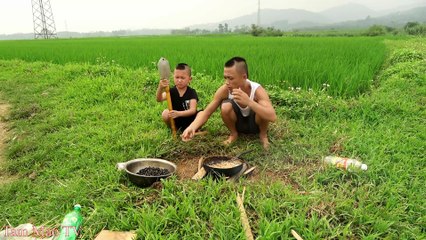 ốc Sào xả ớt - Một Rãnh Suối Nhỏ Mà Tại Sao Có Quá Nhiều Ốc Núi Đến Vậy