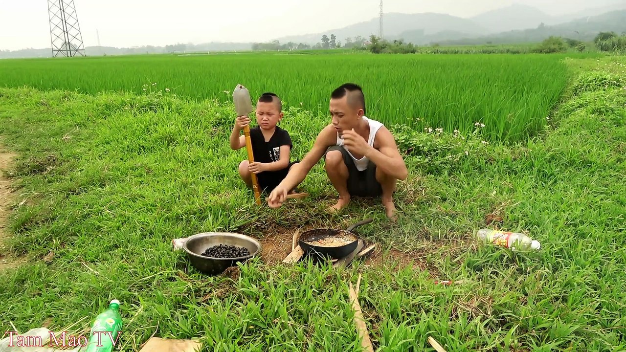 ốc Sào xả ớt - Một Rãnh Suối Nhỏ Mà Tại Sao Có Quá Nhiều Ốc Núi Đến Vậy